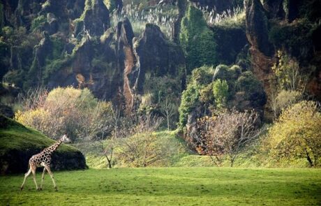 Parque de la Naturaleza de Cabárceno