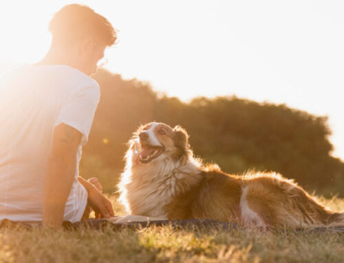 La Mata, paseos junto a tu compañero